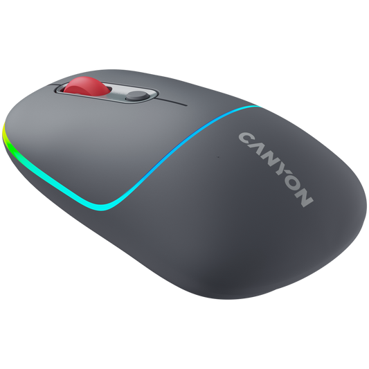 Canyon Dual Mode Wireless Mouse MW-22 - Dark Grey