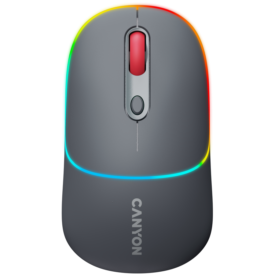 Canyon Dual Mode Wireless Mouse MW-22 - Dark Grey