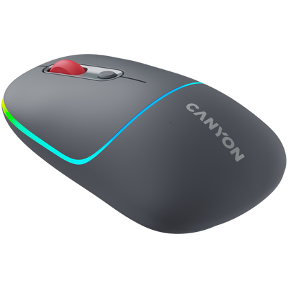 Canyon Dual Mode Wireless Mouse MW-22 - Dark Grey