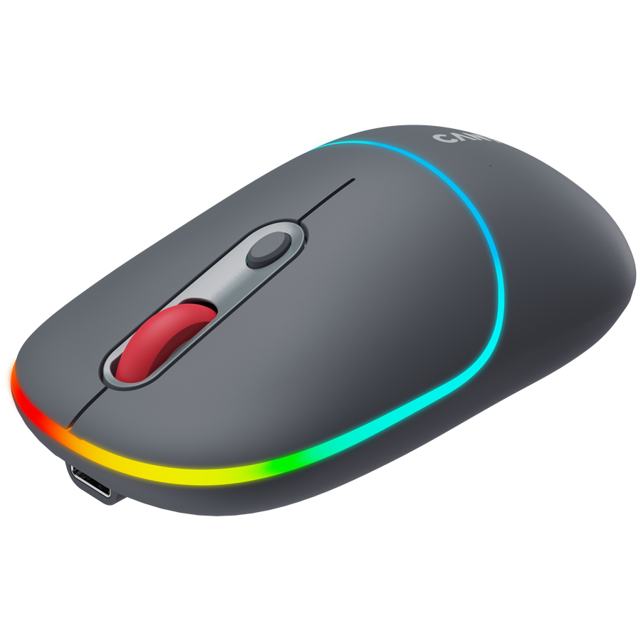 Canyon Dual Mode Wireless Mouse MW-22 - Dark Grey