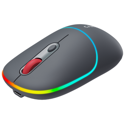 Canyon Dual Mode Wireless Mouse MW-22 - Dark Grey