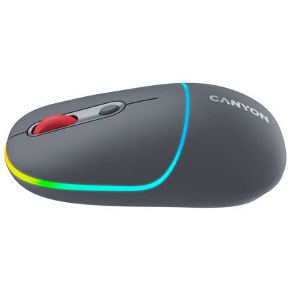 Canyon Dual Mode Wireless Mouse MW-22 - Dark Grey