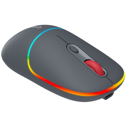 Canyon Dual Mode Wireless Mouse MW-22 - Dark Grey