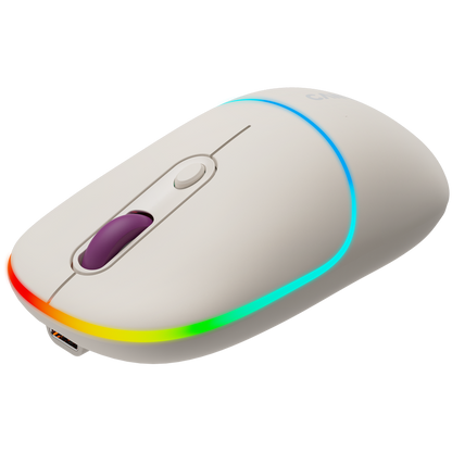 Canyon Dual Mode Wireless Mouse MW-22 - Rice