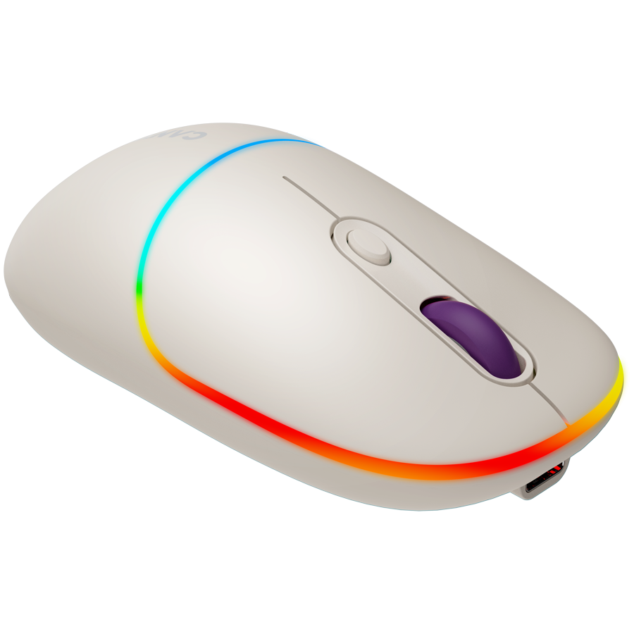 Canyon Dual Mode Wireless Mouse MW-22 - Rice