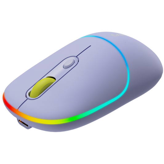 Canyon Dual Mode Wireless Mouse MW-22 - Lavender