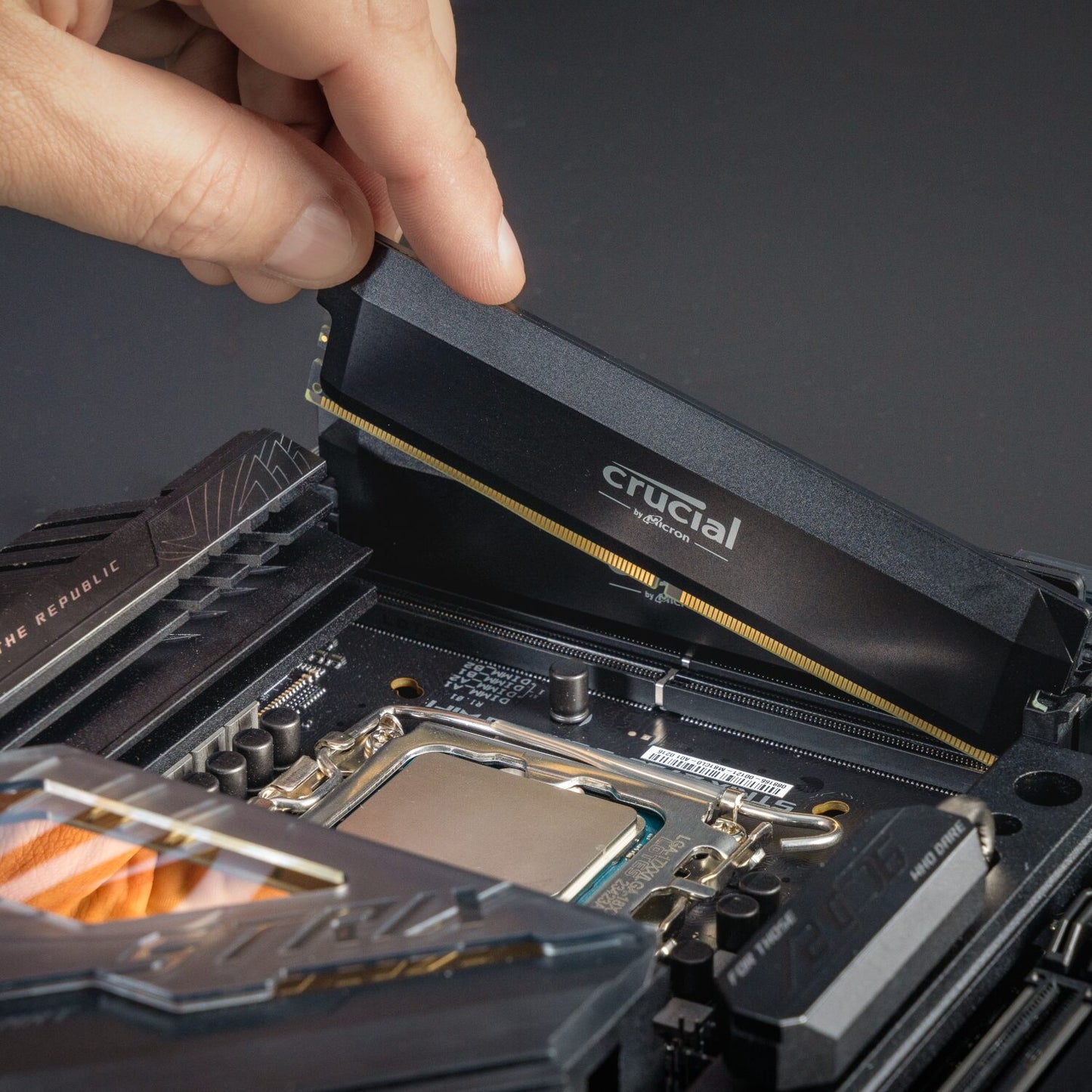 Crucial Pro DDR5 Desktop Memory - 32GB, 5600MHz