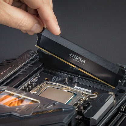 Crucial Pro DDR5 Desktop Memory - 32GB, 5600MHz