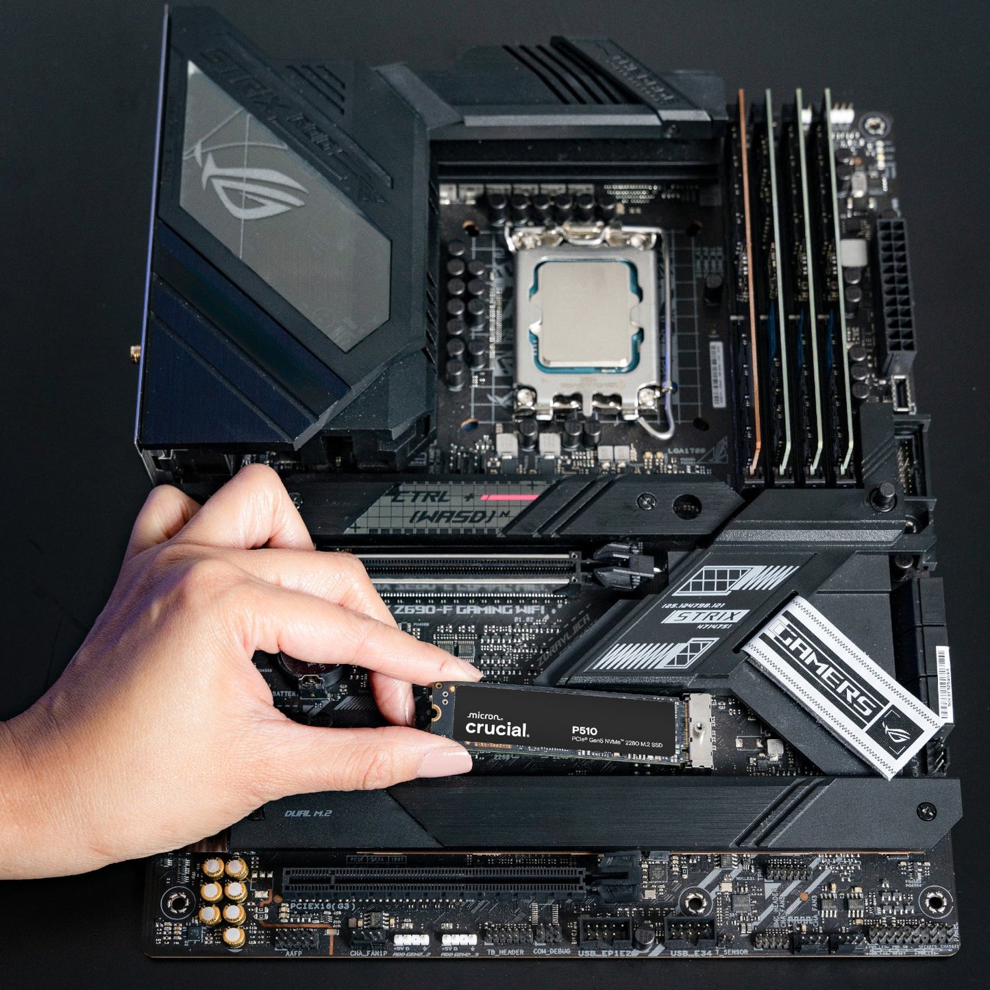 Crucial P510 M.2 Gen5 NVMe 3D NAND SSD - 1TB