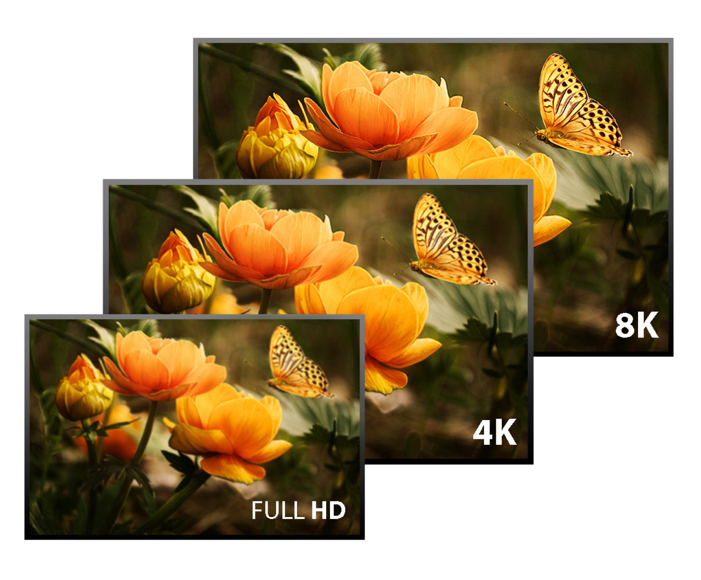 J5create 8K DisplayPort to DisplayPort Cable 2m - JDC43