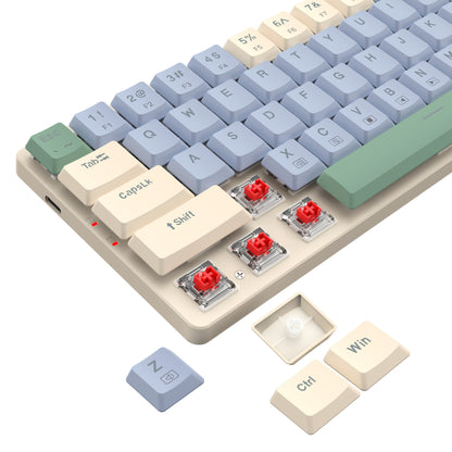 Redragon BS8772 Wireless Keyboard and Mouse Combo – Cream/Blue