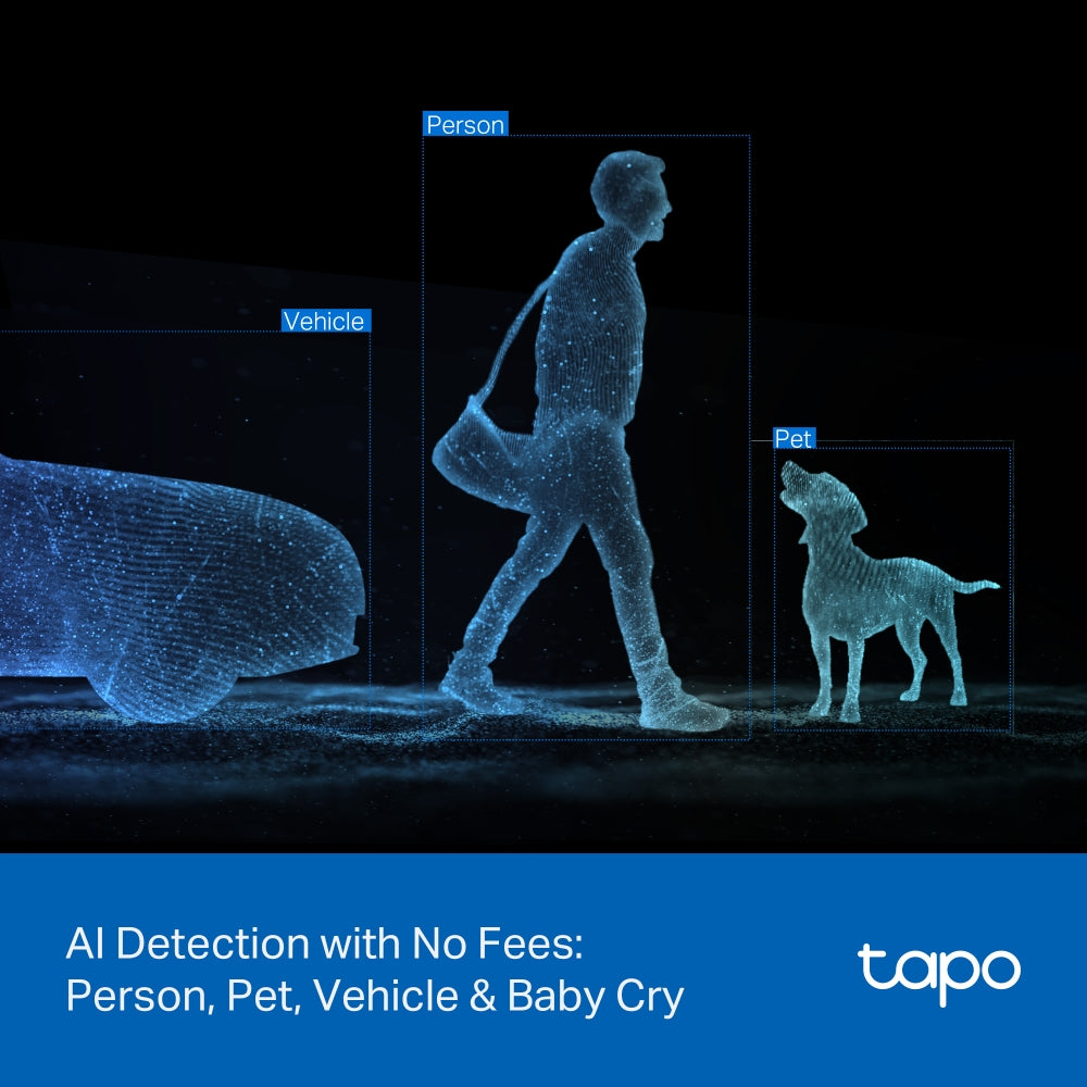 Tapo Indoor/Outdoor Dual Lens Security Camera - C246D