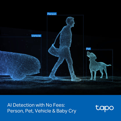 Tapo Indoor/Outdoor Dual Lens Security Camera - C246D