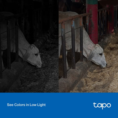 Tapo Outdoor Security Wi-Fi Camera - Tapo C320WS