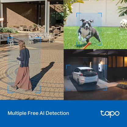 Tapo Outdoor Pan/Tilt Security Wi-Fi Camera - Tapo C520WS