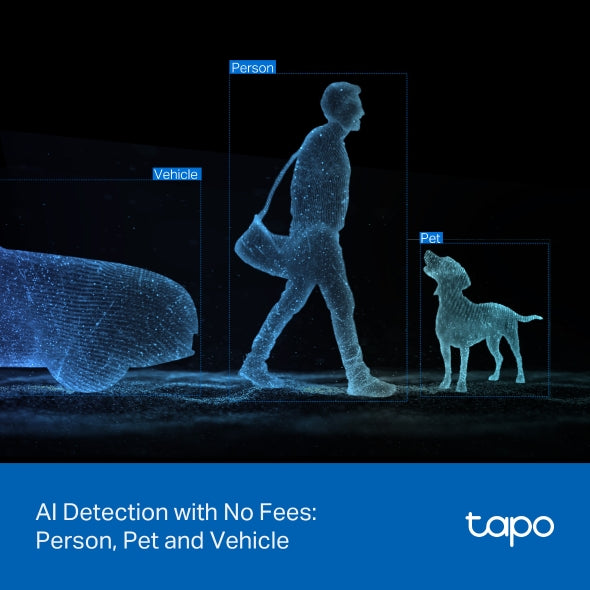 Tapo Outdoor Dual Lens Pan/Tilt Security Camera - Tapo C545D
