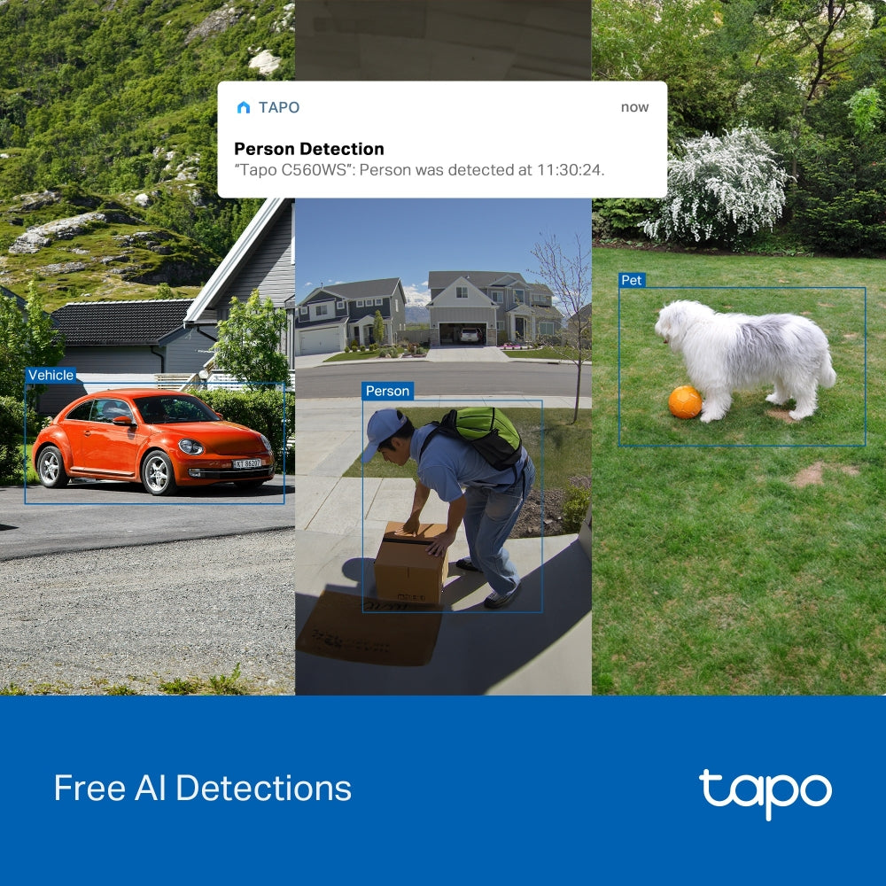 Tapo Outdoor Pan/Tilt Security Wi-Fi Camera - C560WS