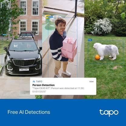 Tapo Solar-Powered Pan/Tilt Security Camera Kit - Tapo C630 KIT