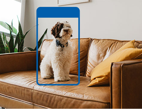 Tapo Pan/Tilt AI Home Security Wi-Fi Camera - Tapo C220