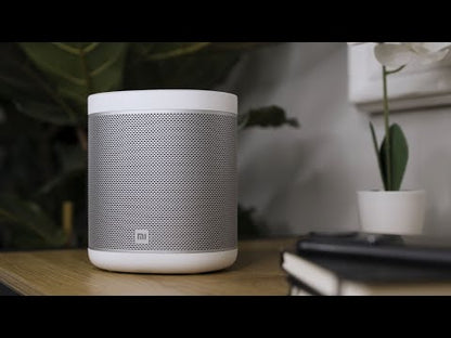 Xiaomi Smart Speaker